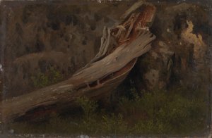 腐敗したトランクの研究 作： August Cappelen